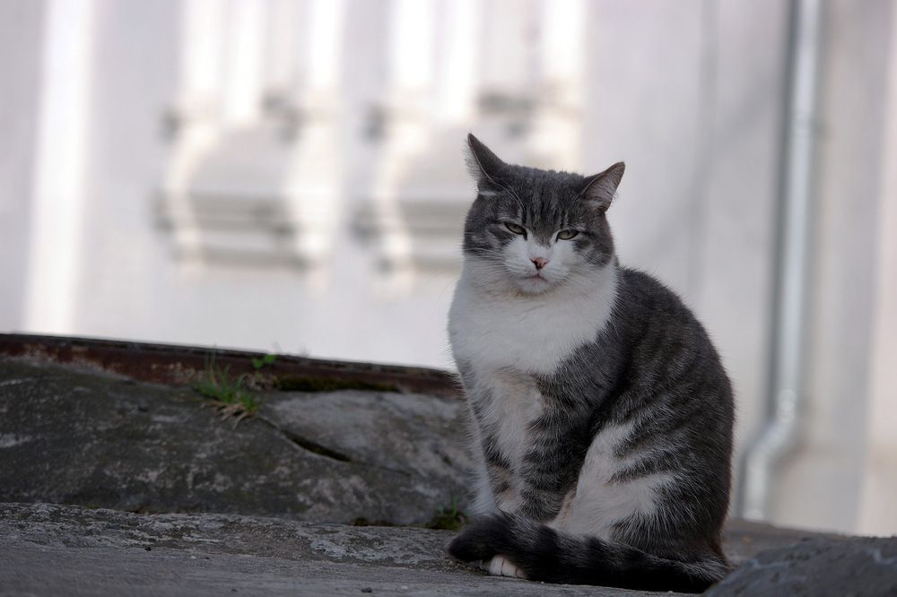 Photograph by Дмитрий Ткаченко