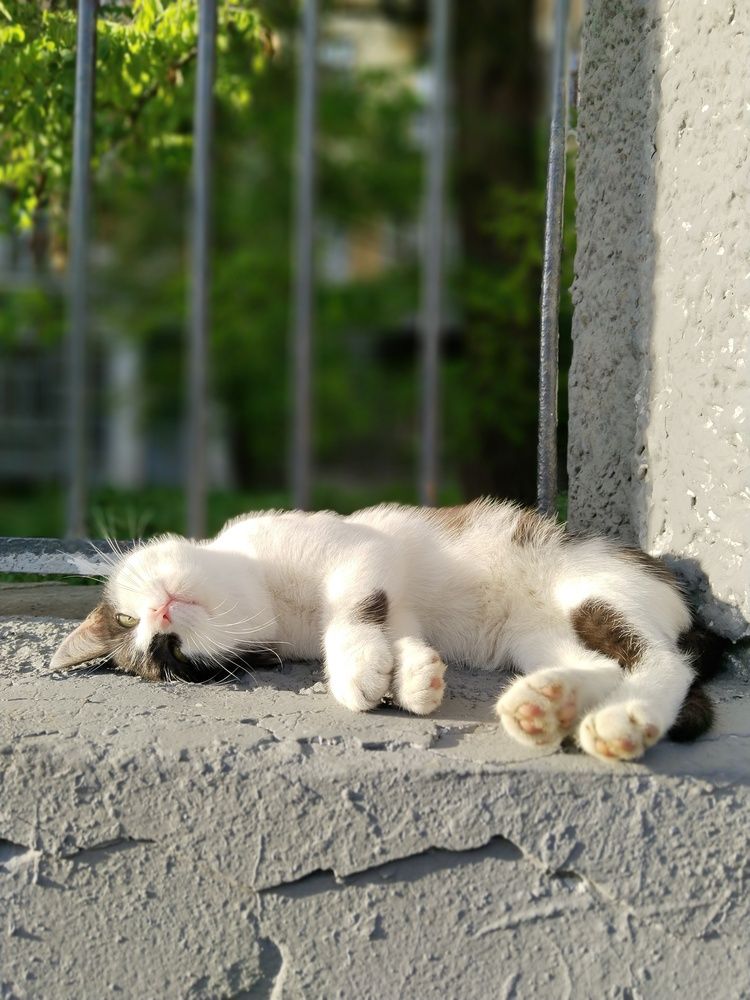Photograph by Ольга Чернова