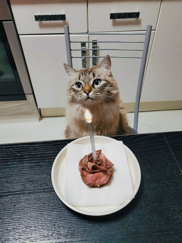 Photograph by Юлия Гусарова