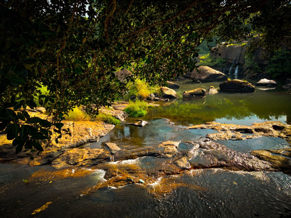Photograph by Manoj R D