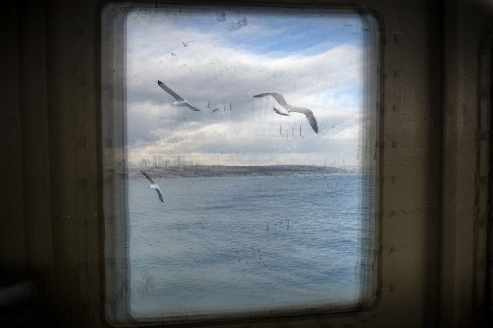 Фотография автора Aylin Turnator