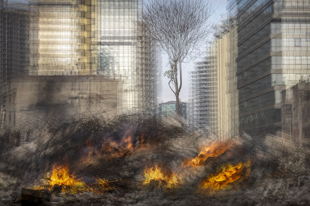 Фотография автора Aylin Turnator