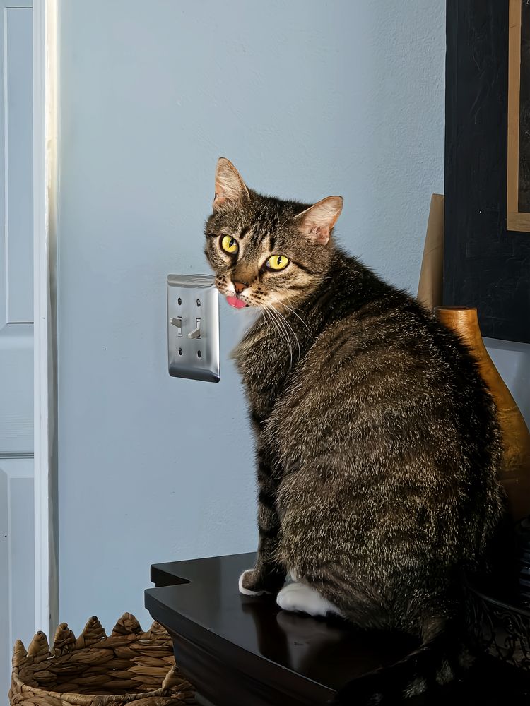 Фотография автора Jeff Cooley