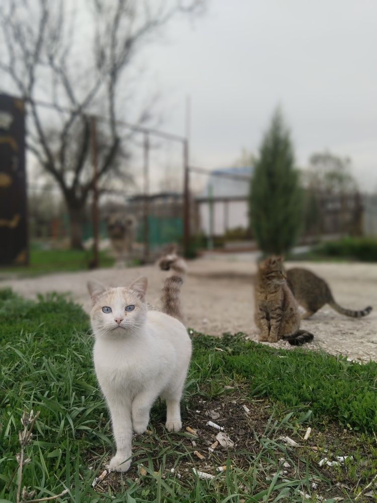 Photograph by Ольга Чернова