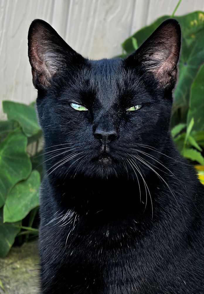 Фотография автора Jeff Cooley