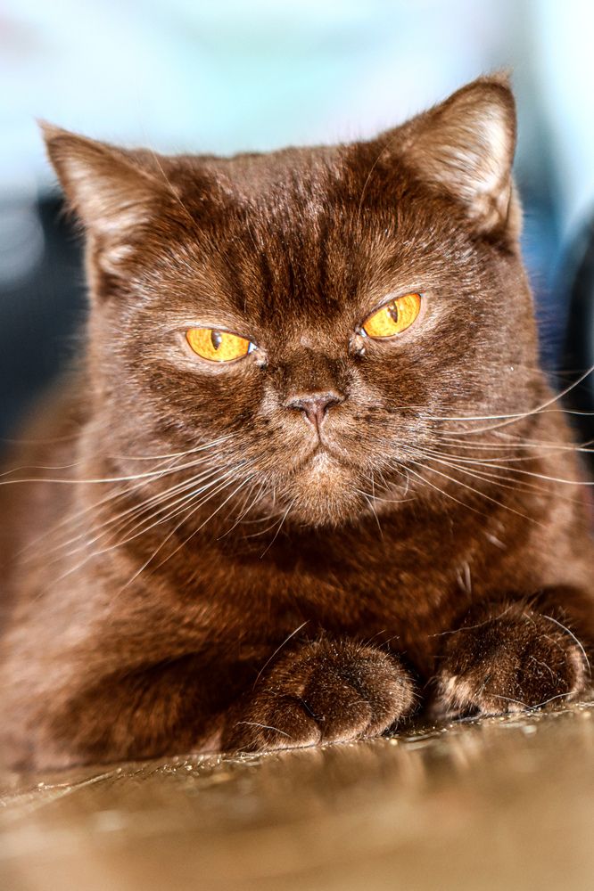 Photograph by Аня Косс