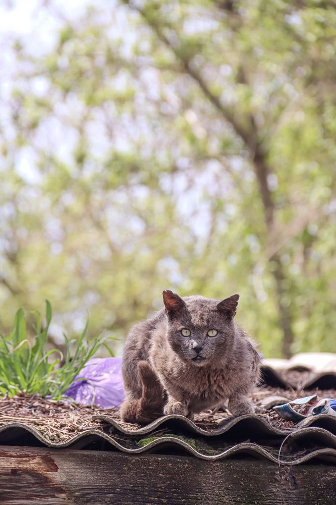 Photograph by Аня Косс