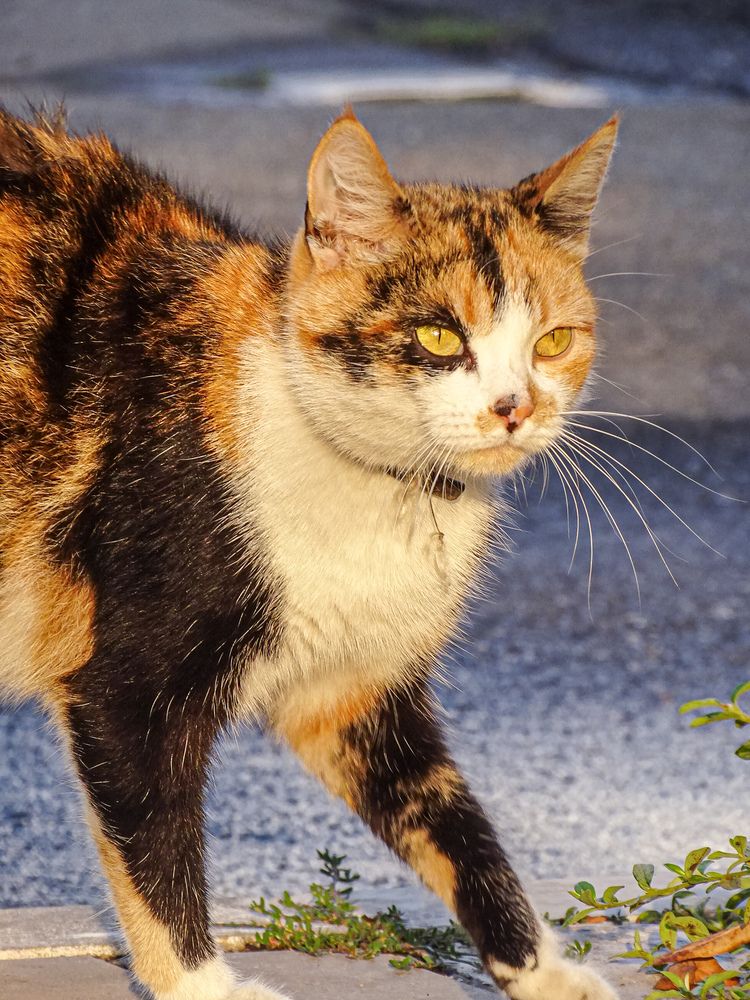 Photograph by Аня Косс