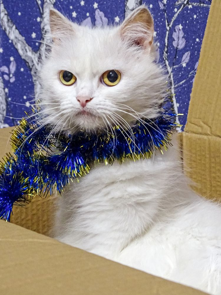 Photograph by Аня Косс