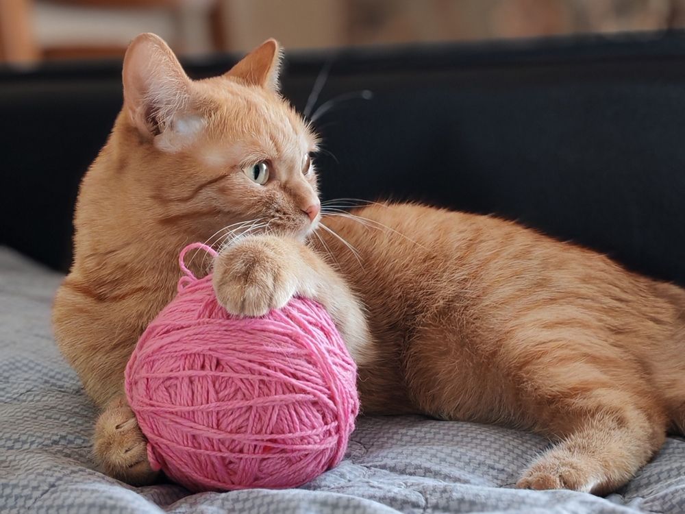 Photograph by Альбина