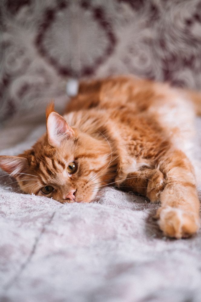 Photograph by Светлана Субботина