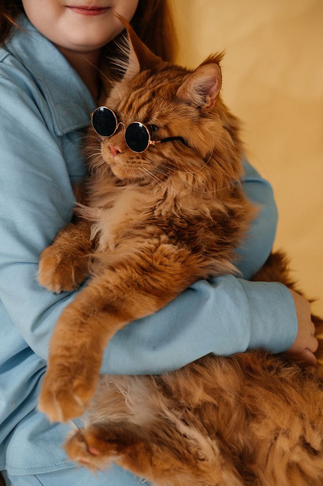 Photograph by Светлана Субботина