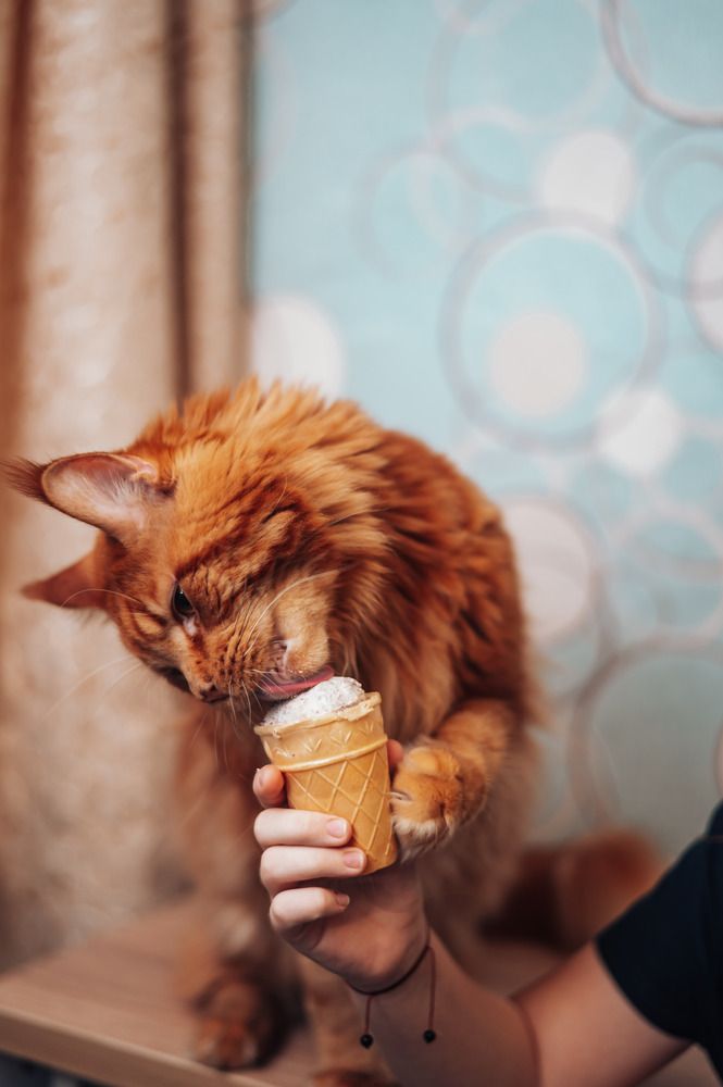 Photograph by Светлана Субботина