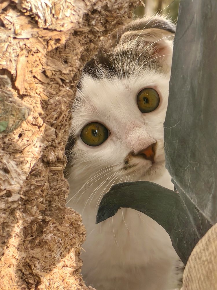 Photograph by OLGA MIKHNEVICH