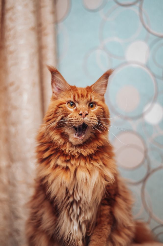 Photograph by Светлана Субботина