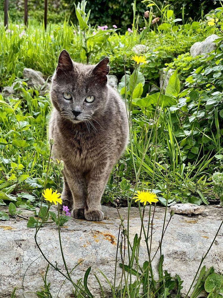 Photograph by Eleni Christogianni