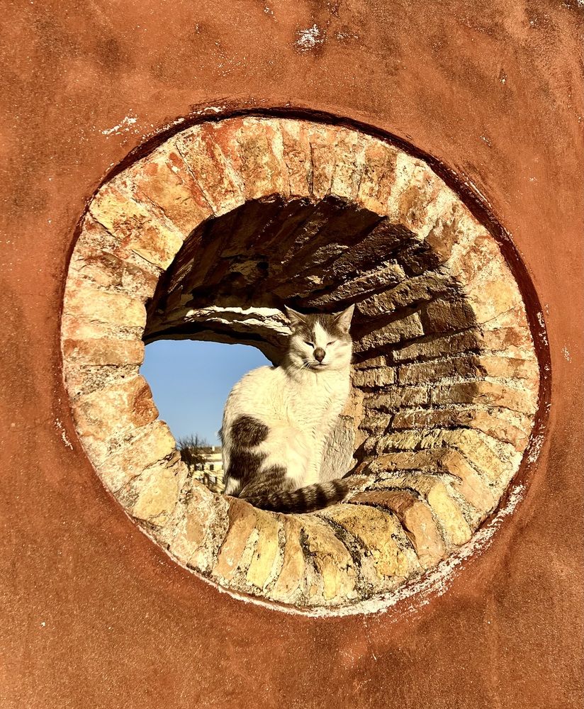 Фотография автора Eleni Christogianni