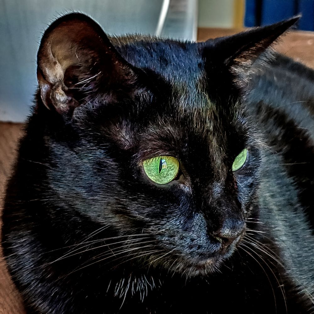 Фотография автора Jeff Cooley