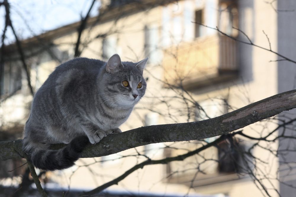 Photograph by Pavel Gukov