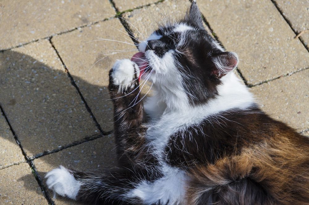 Photograph by Pavel Gukov