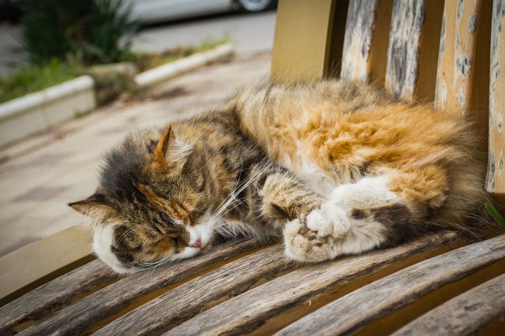 Photograph by Pavel Gukov