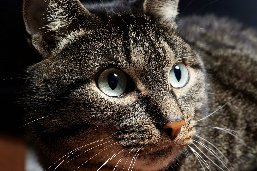 Photograph by Сергей Анисимов