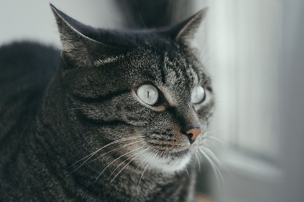 Photograph by Сергей Анисимов