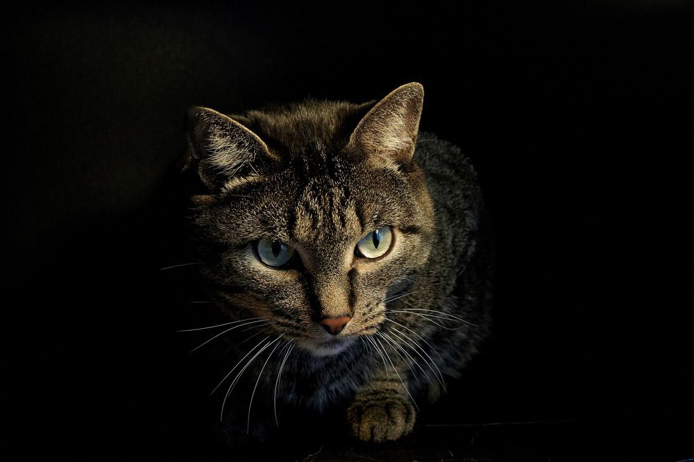 Photograph by Сергей Анисимов