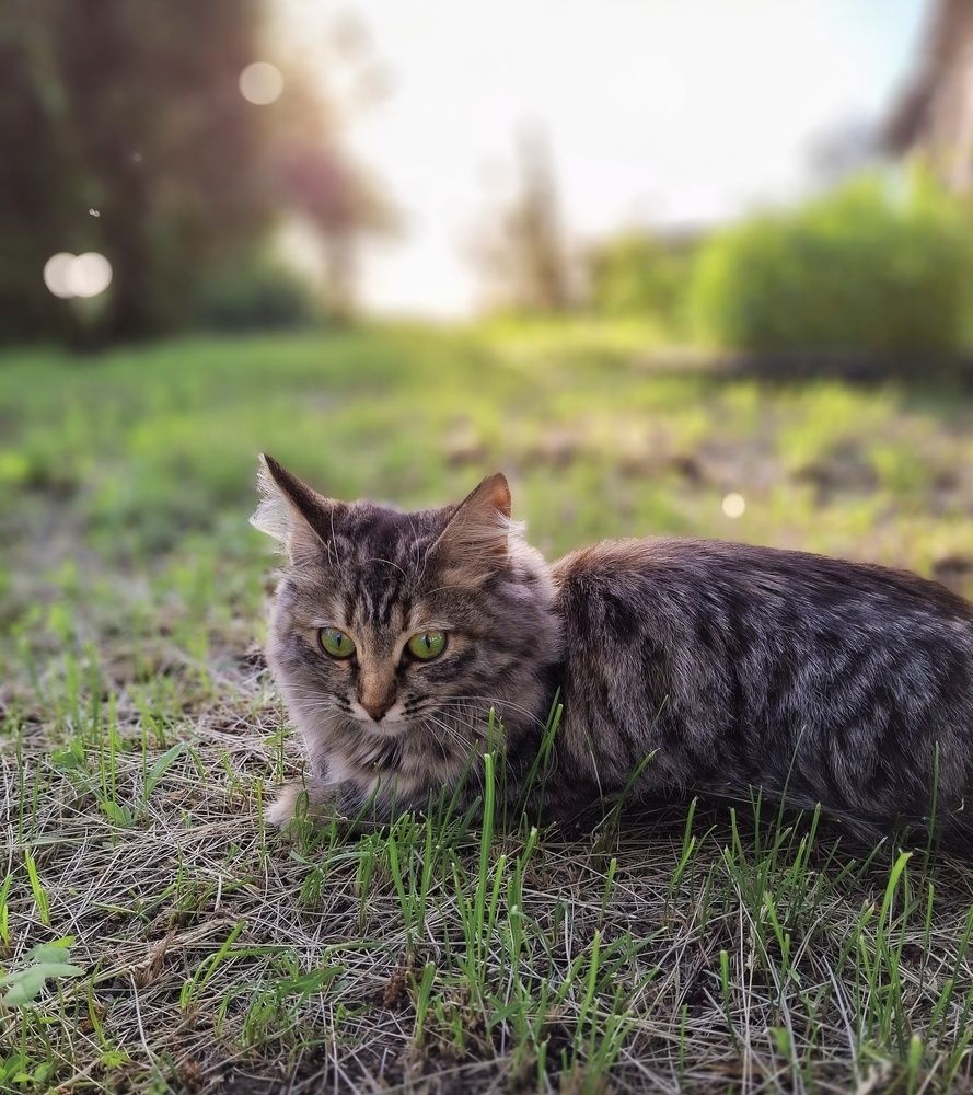 Photograph by Марина Мальцева