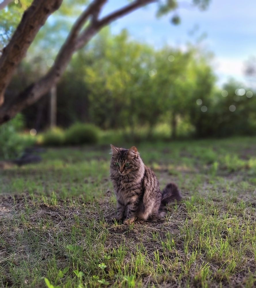 Photograph by Марина Мальцева