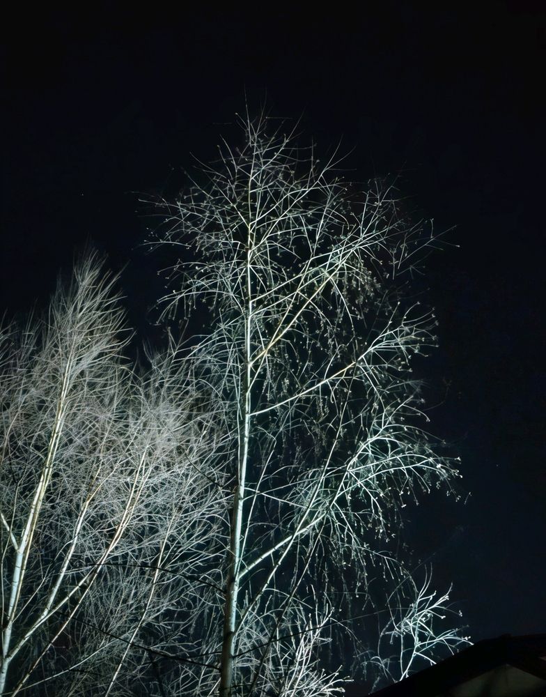 Photograph by Юлия Холомцева