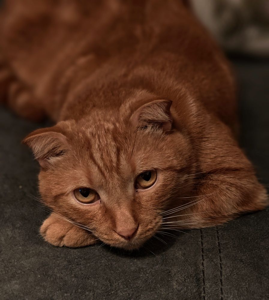 Фотография автора Евгения Владимировна