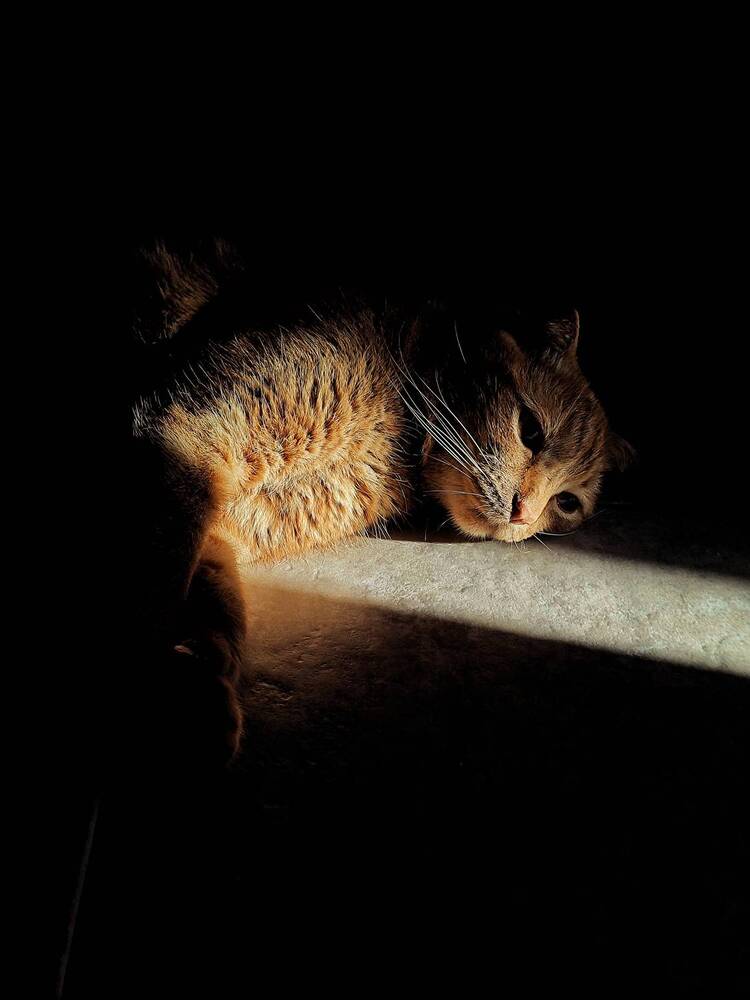 Фотография автора Евгения Владимировна