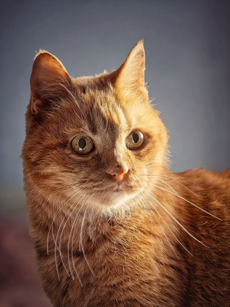 Photograph by OLGA MIKHNEVICH