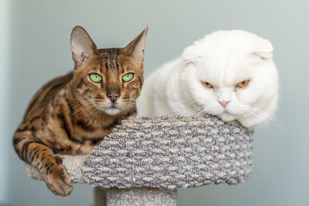 Photograph by Максим Мураков