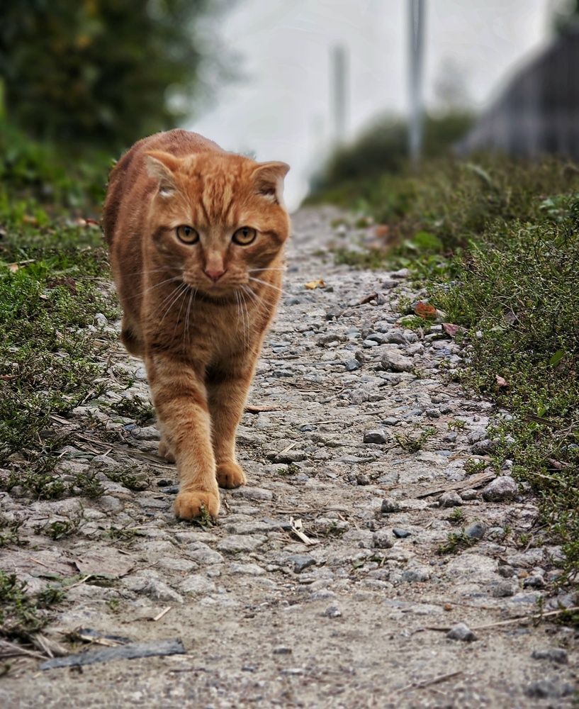 Фотография автора Евгения Владимировна