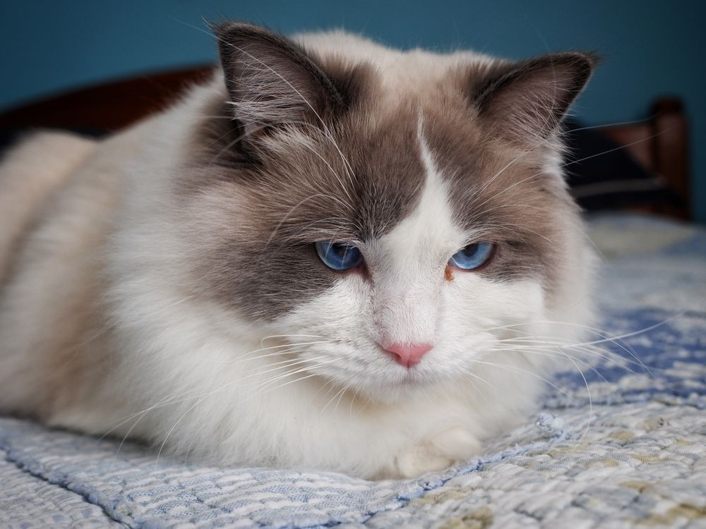 Photograph by Зорин Миша