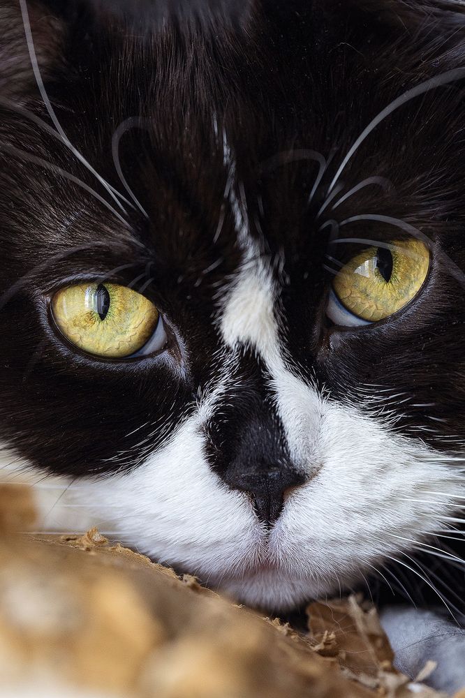 Photograph by Сосновских Вячеслав