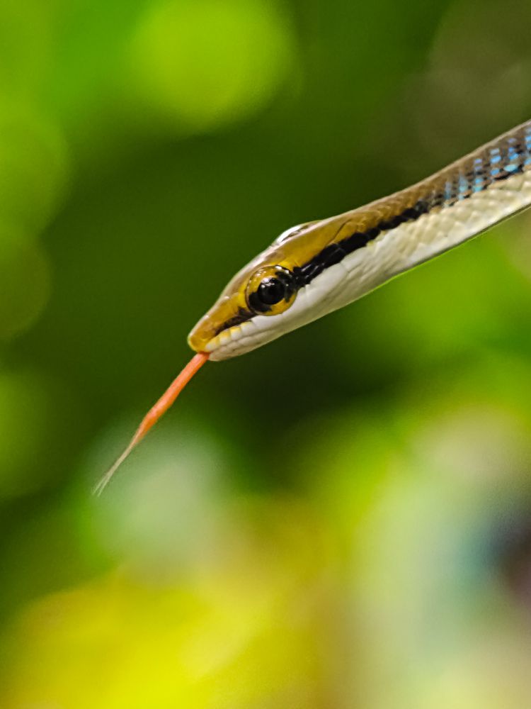 Photograph by Chinchu Chandran