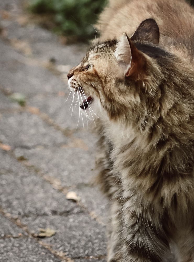 Photograph by Anton Krol