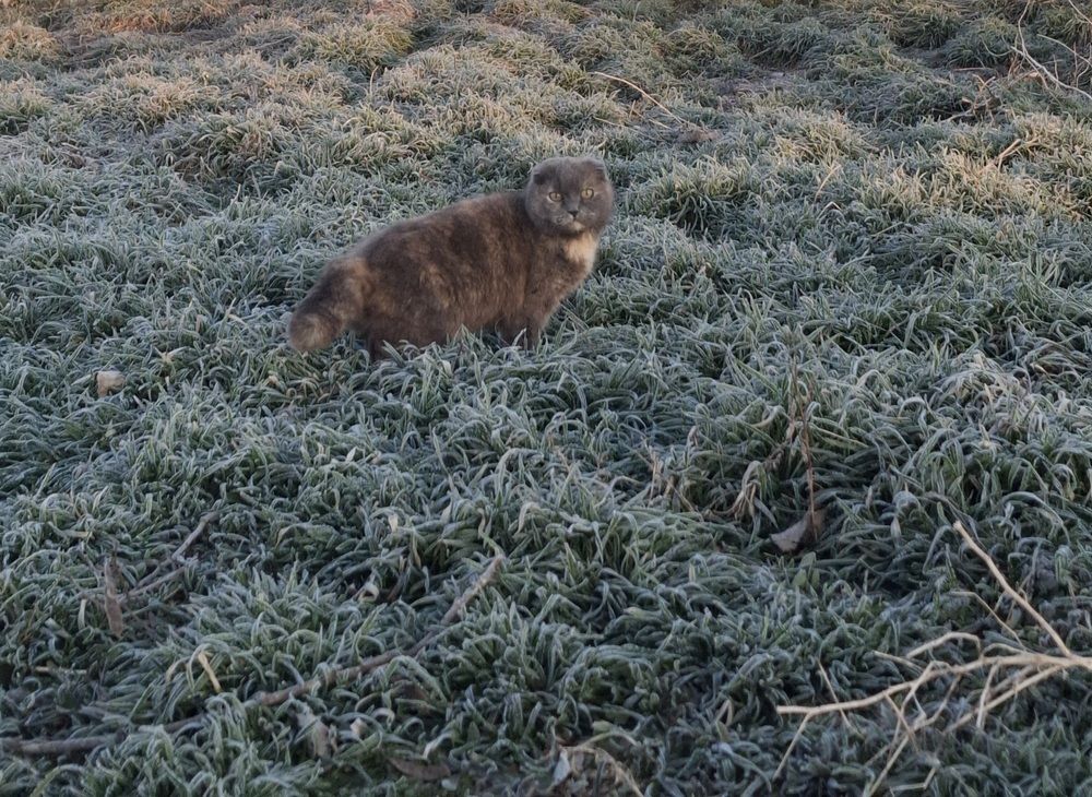 Photograph by Анна Степанова