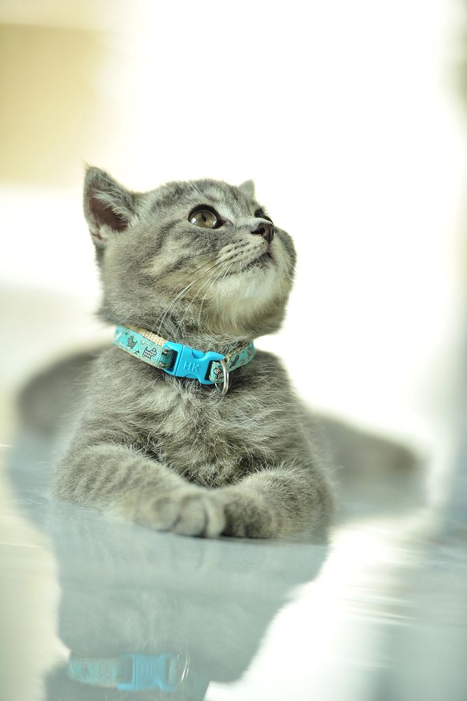 Photograph by Nguyen Minh