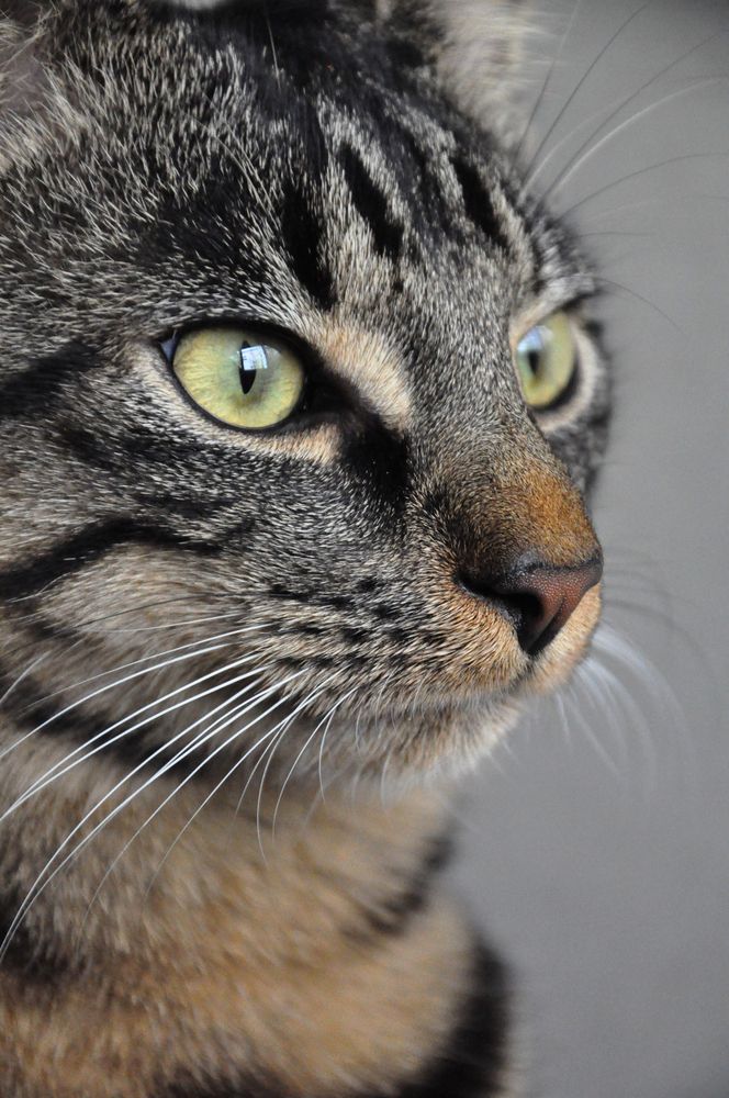 Photograph by Галина Лысых