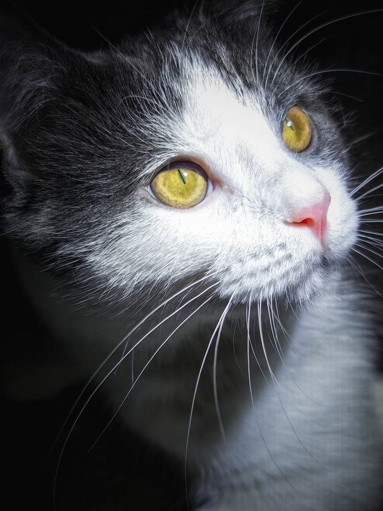 Photograph by OLGA MIKHNEVICH