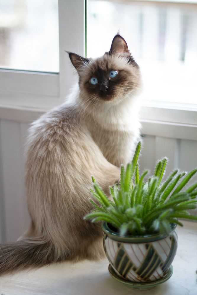 Photograph by Елена