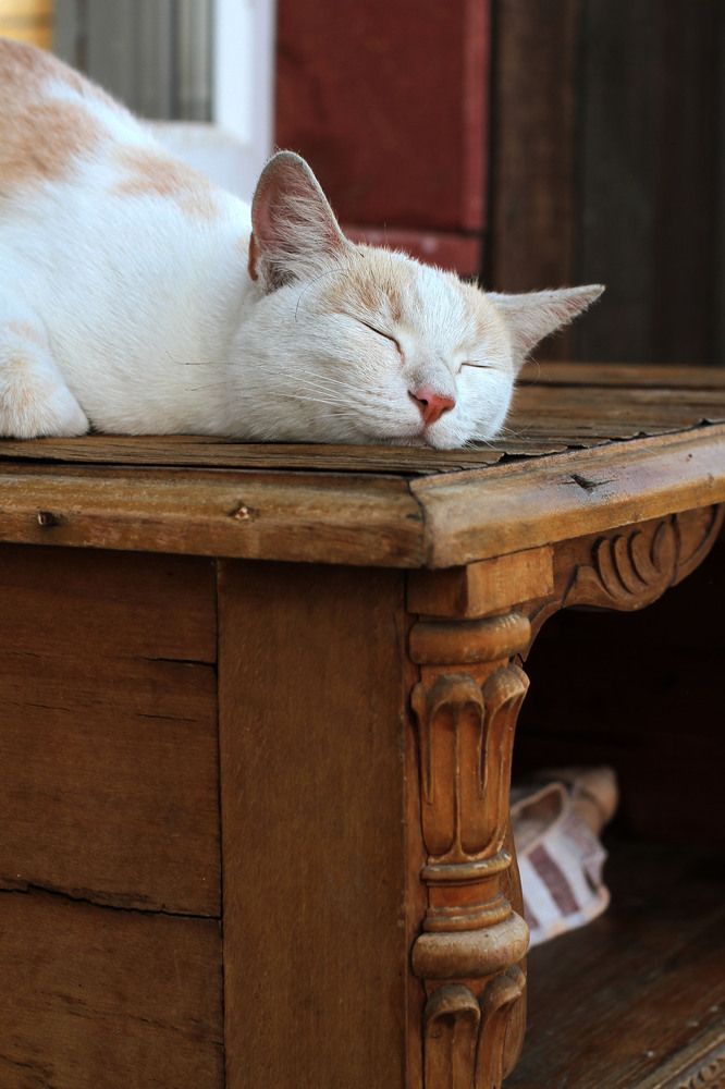 Photograph by Елена