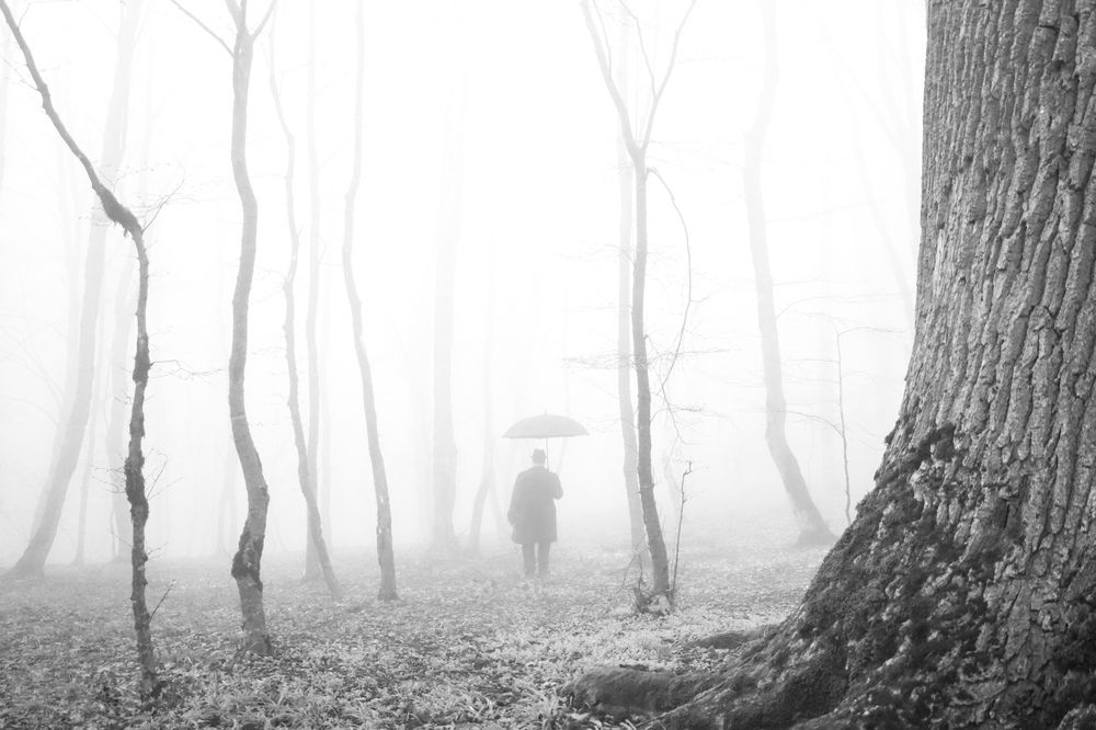 Drowned in the fog