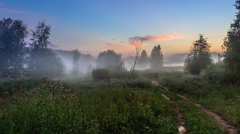 ДОРОГА В МОЛОЧНЫЙ ТУМАН