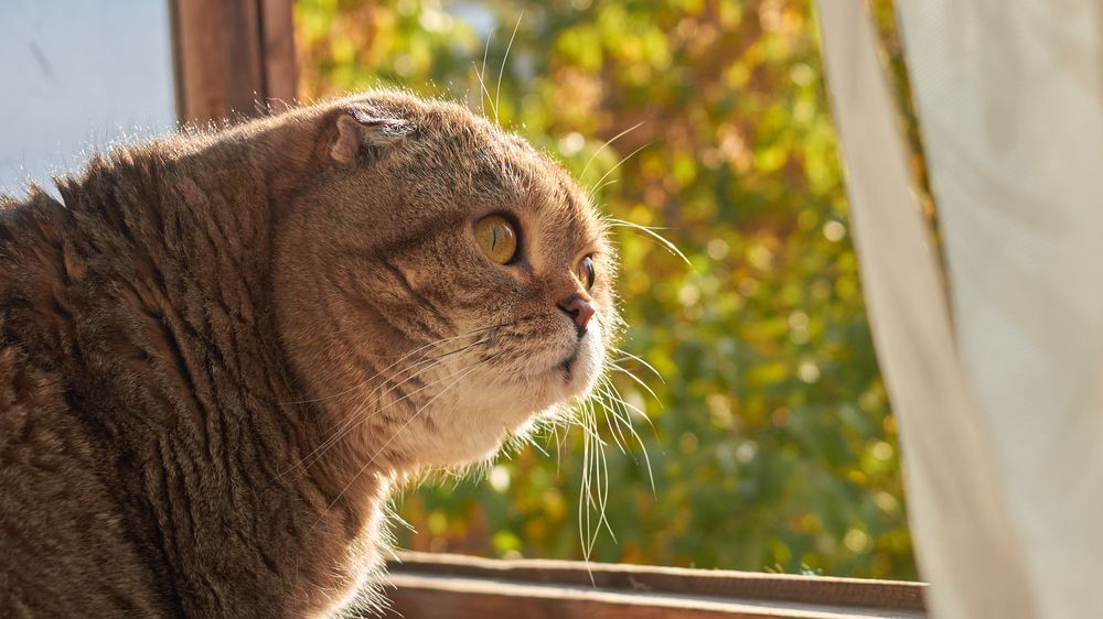 Photograph by Максим Ипантьев