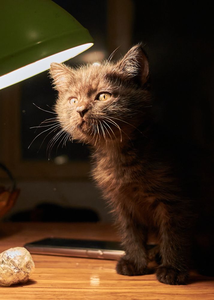 Photograph by Максим Ипантьев